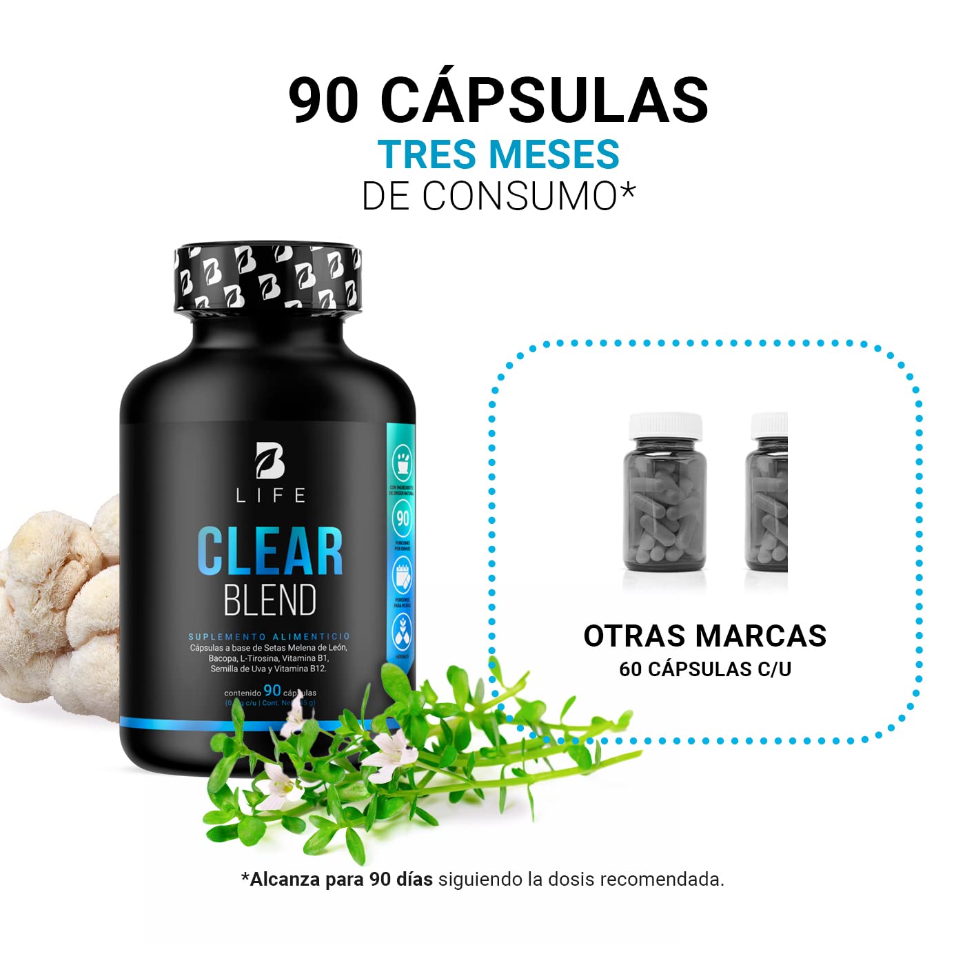 Clear Blend de 90 cápsulas. Ingredientes naturales: Hongo Melena de León, Bacopa, L-Tirosina, L-Teanina, Vitamina B1, Semilla de Uva Roja y Vitamina B12. Clear Blend B Life.