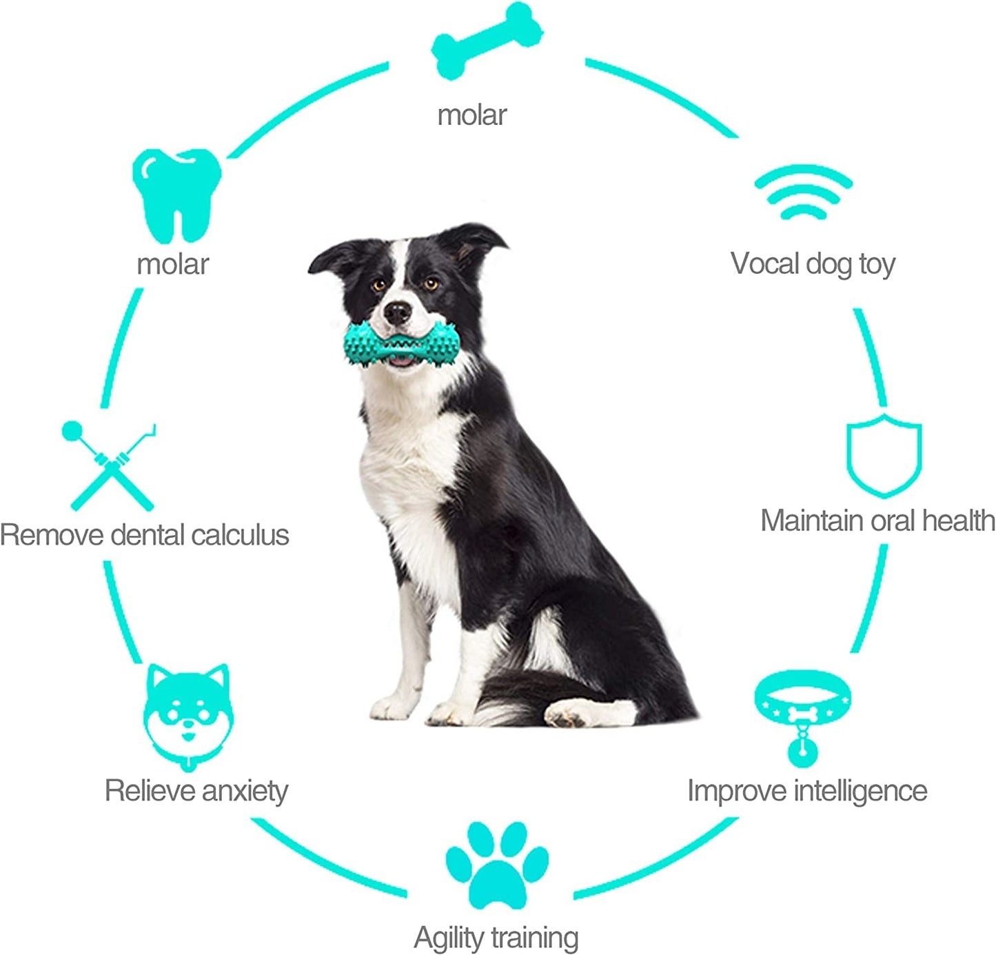 CERISURIO Cepillo De Dientes para Perros, Hueso De Palo para Limpiar Los Dientes del Perro, Cepillarse Los Dientes, Juguetes para Masticar La Dentición, Cuidado Bucal Dental para Perros Pequ