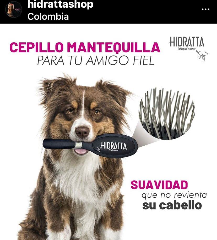 Cepillo para Polvo Mantequilla para Mascotas Beige
