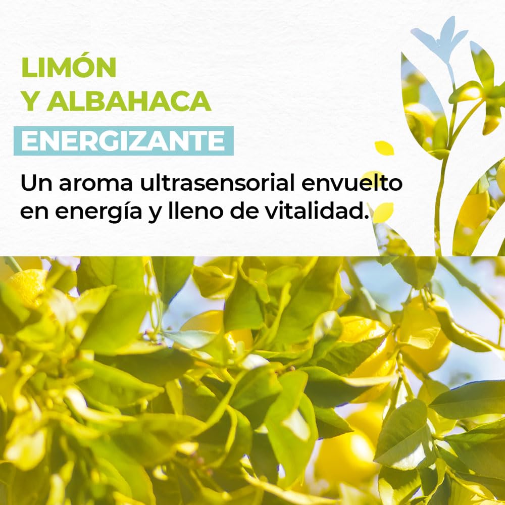 YVES ROCHER - Set Gel De Ducha Limón y Albahaca, Todo Tipo de Piel, Fórmula Vegana, Incluye 3 Geles 400 ml c/u