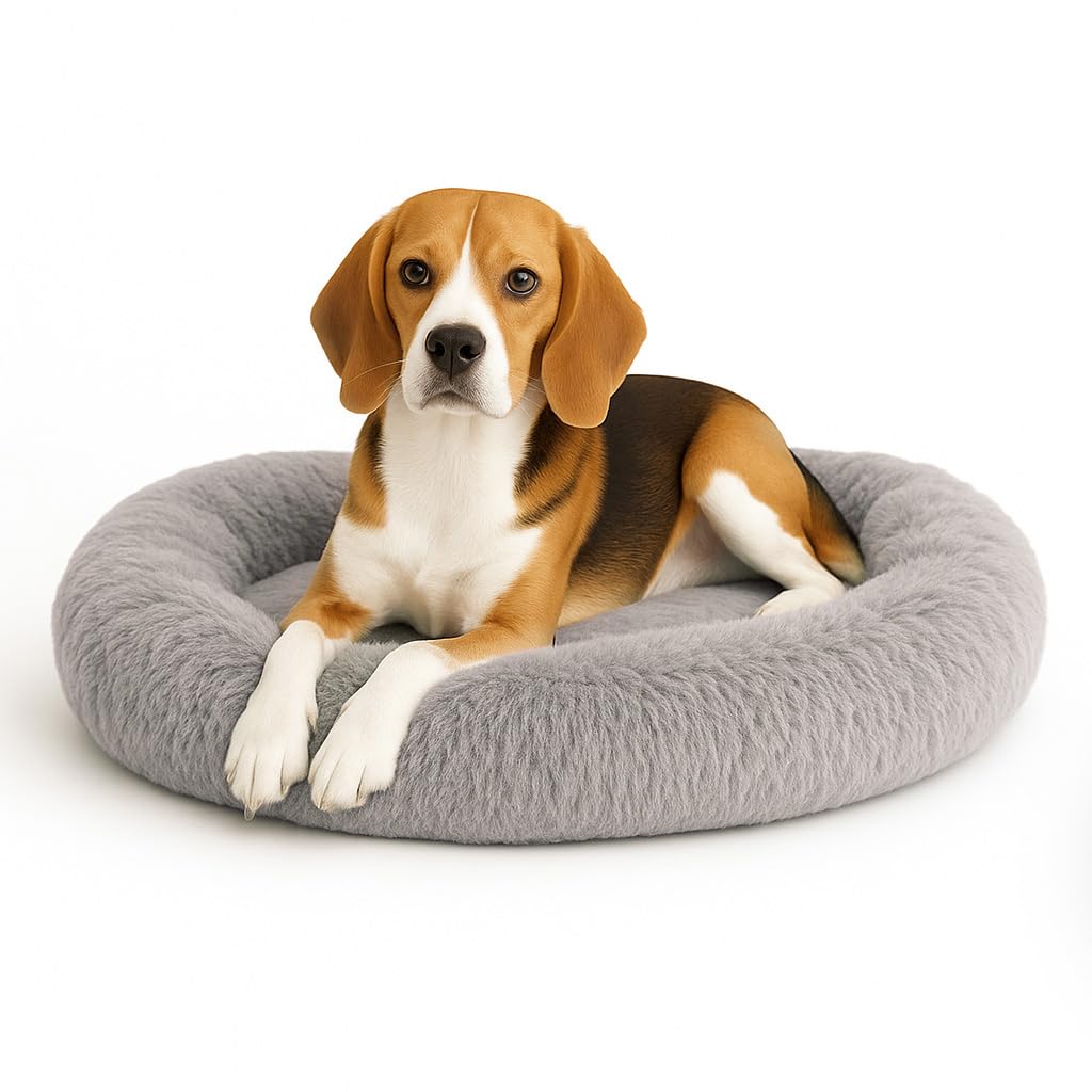 PET TO BED Cama para Perros Cama para Mascotas Antiestres Redonda Esponjosa  Cómoda Afelpada (Medium, Light Grey)