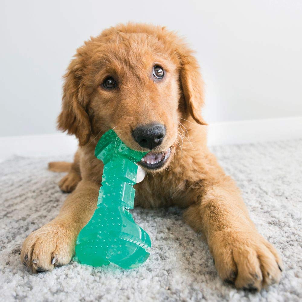 Kong Palo Dental Squeezz Mediano para Perro