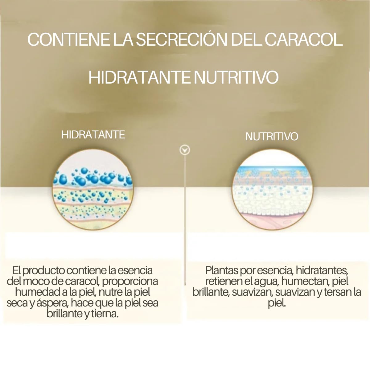 Kit Aclarante y Humectante Cuidado Facial Rutina Completa Baba de Caracol y Colageno Alta Concentración, Rejuvenecedor Loción de Día, Ácido Líquido, Esencia Facial, Crema Antiarrugas para Ojos Paquete 5 Piezas