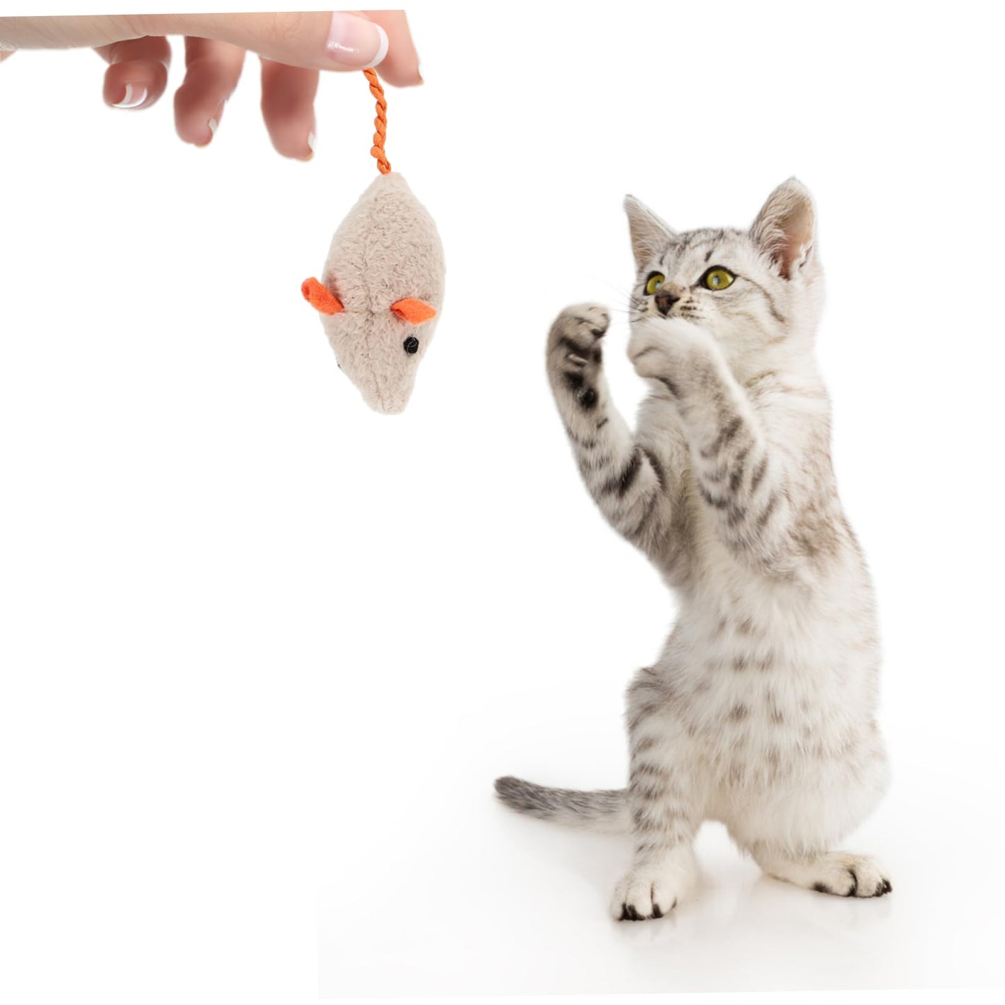 Ipetboom 6 Piezas Gato Ratones Juguetes Gato De Peluche De Juguete Gatito Juguete De Burlas Gato Juguetes Ratones Juguete Mordedura De Gatito Gato Divertido Felpa Gato De Interior