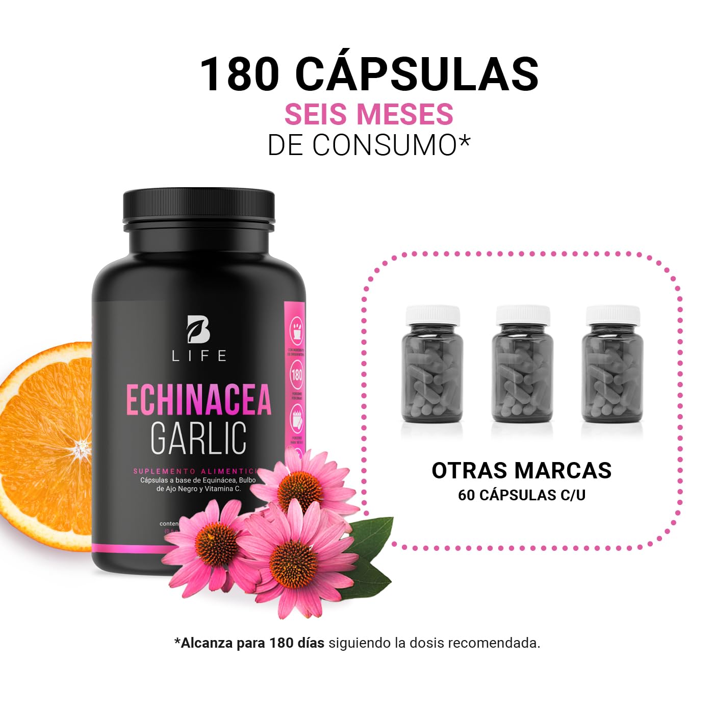 B Life Equinácea de 180 Cápsulas de 600 mg. Adicionado con Ajo Negro y Vitamina C. Ingredientes naturales. Echinacea Garlic.