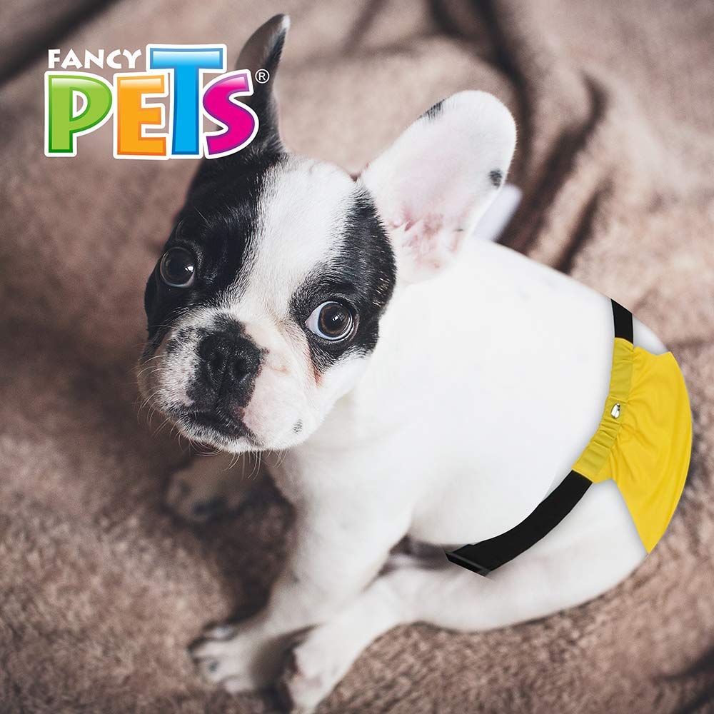 Fancy Pets Calzón Sanitario Tamaño Grande para Perro Varios Colores