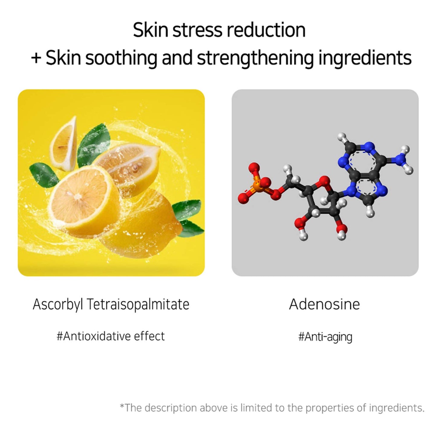 Muldream Serum Ampolleta Vegana de Vitamina C | MULDREAM Vegan Green Mild Vita Ampoule 55ml | Producto Importado de Corea | Producto Vegano | Cruelty Free | K-beauty