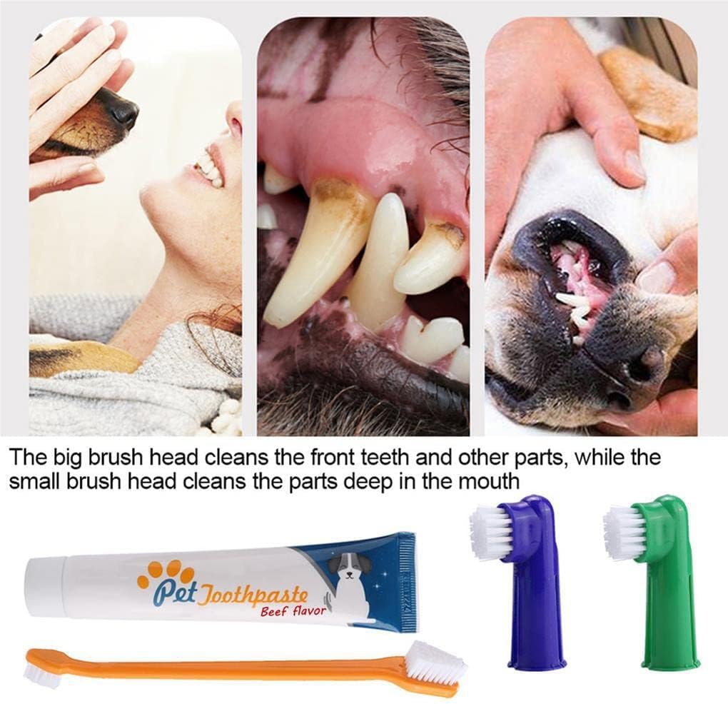 Juego de Cepillos Dentales para Perros | Doble Cabezal, Mango Antideslizante | Limpieza Bucal Avanzada | Accesorios para Mascotas | Material PP y Nailon (Vainilla)