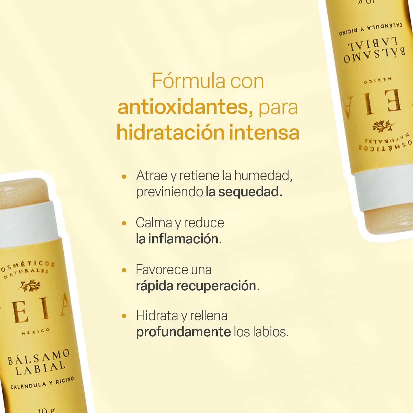 Bálsamo Labial TEIA COSMETICOS Ingredientes Naturales Humectante y Reparador