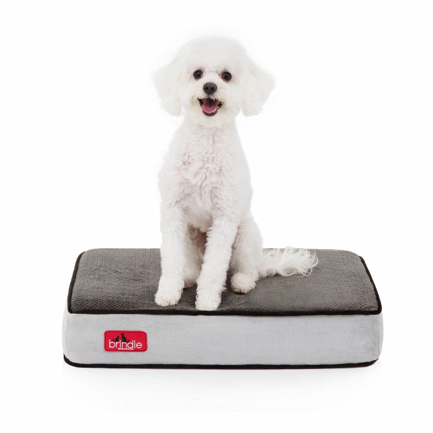 Brindle Cama para Perro ortopédica de Memory Foam de 10 cm Cubierta de velvetón extraíble con Lino Impermeable, tamaño Chico, Color Negro/carbón, 56 x 41 cm