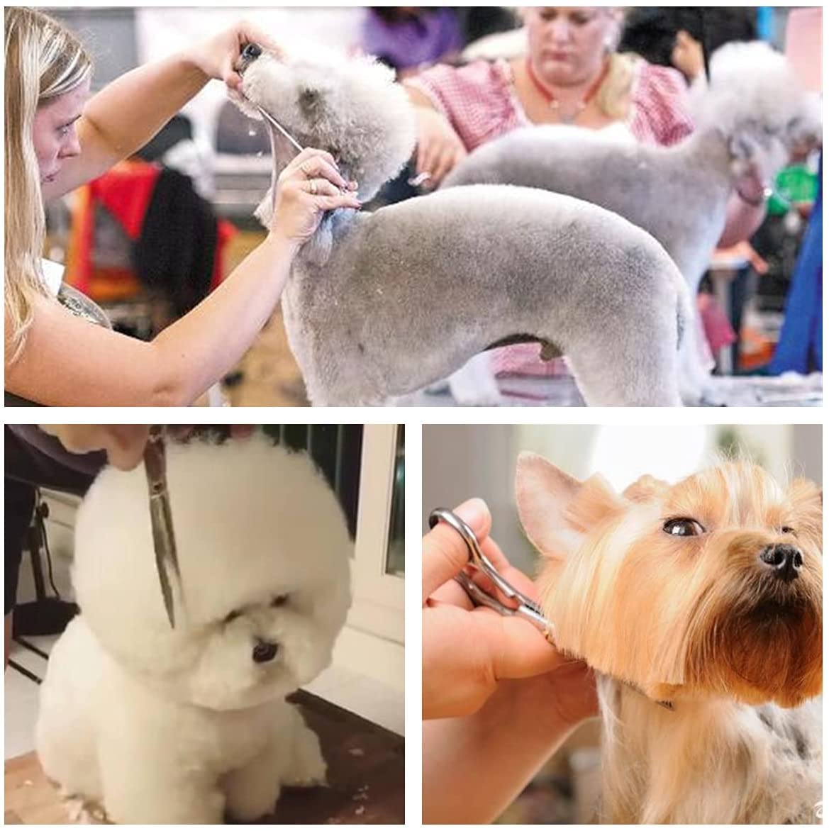 Tijeras de Peluquería Profesional,Juego de Tijeras de Pelo de Acero Inoxidable con Capa de Barbero y Peine, Tijeras para Cabello con Clip y Bolsa de Almacenamiento para Hogar, Eluquería, Set de Tijeras Cortar Pelo para Hombres y Mujeres