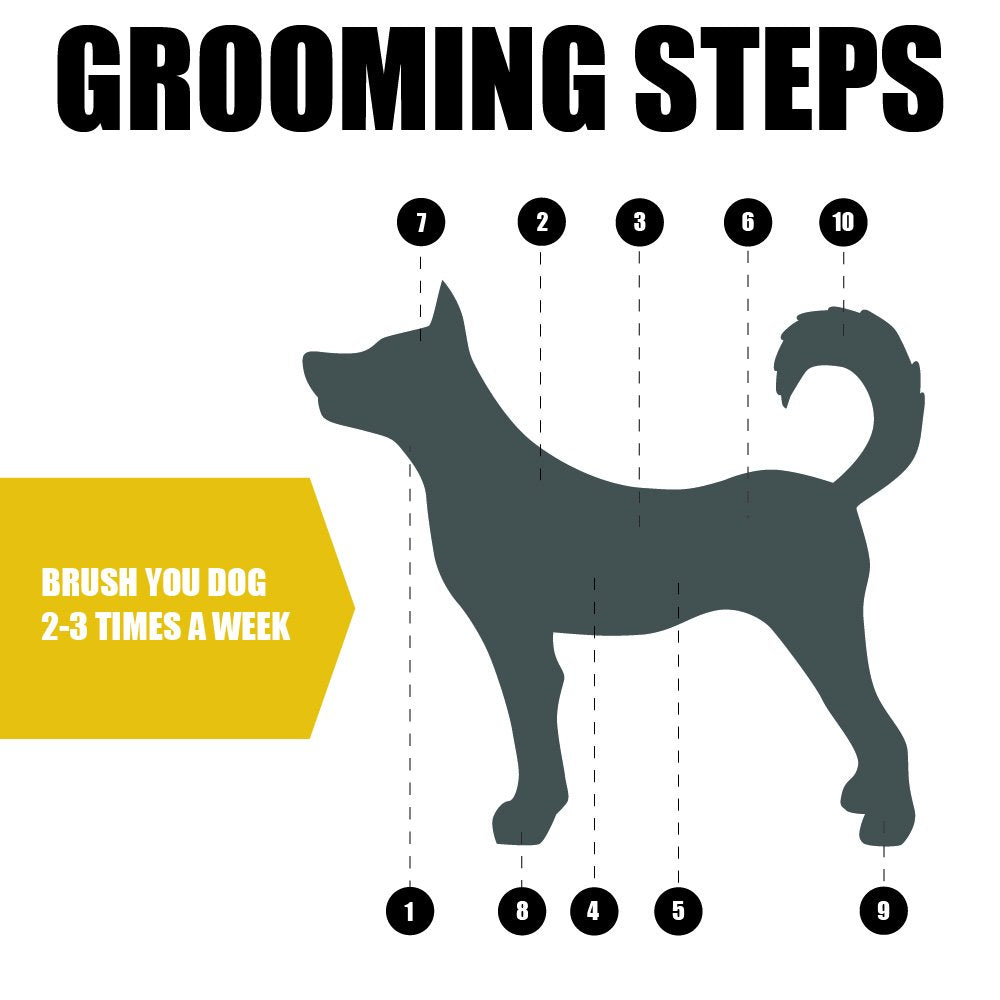 BV Dog Brush and Cat Brush, Pet Grooming Comb, 2 Sided Bristle and Pin for Long and Short Hair Dog, Removing Shedding Hair
