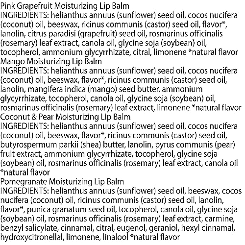 Burt's Bees Bálsamo Labial Sabor a Frutas - Superfruit Lipbalm - Pack x4