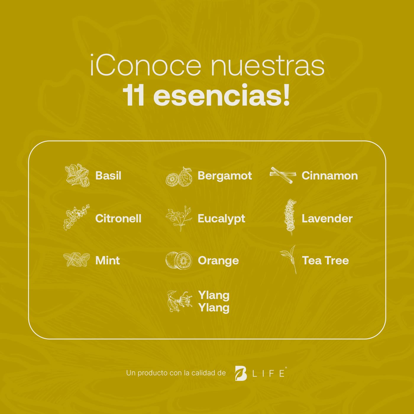 Aceite Esencial Cedro B Life 50 ml con Ingredientes Puros y Naturales Aromalogía