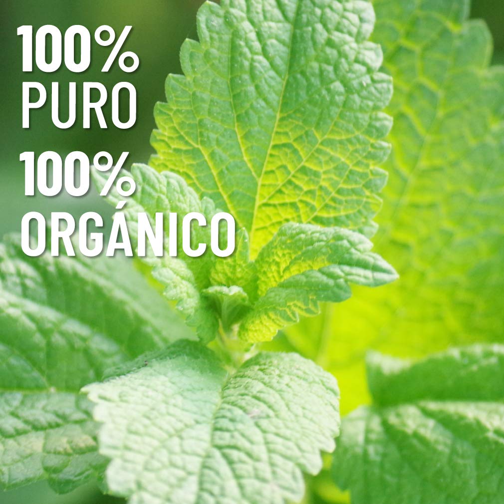 Aceite Esencial Oleum Vitae Melisa 100% Puro y Orgánico Certificado UK 15ml