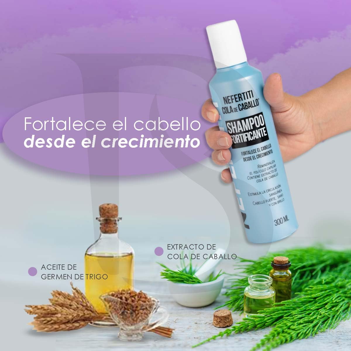 Shampoo Nefertiti Cola de Caballo con Keratina para Fortalecer y Estimular el Crecimiento del Cabello 300 ml