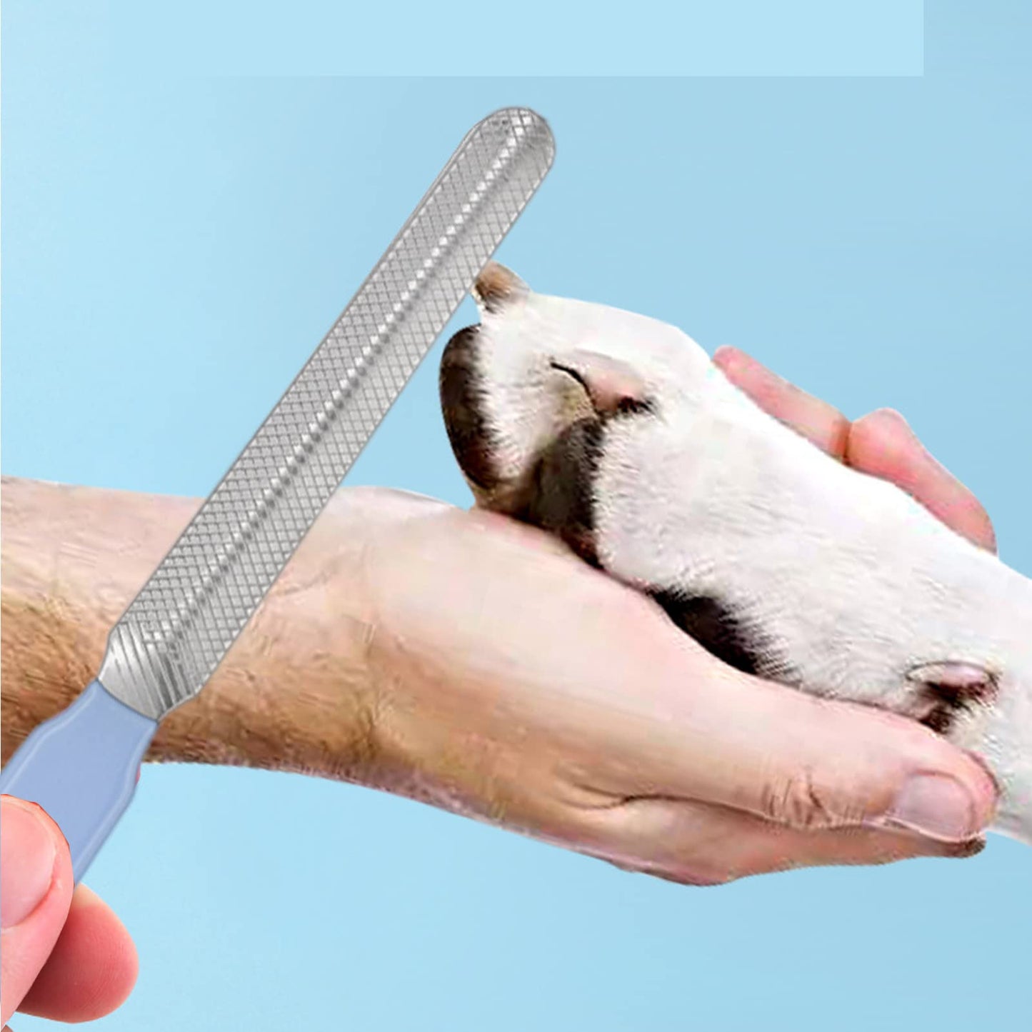Kit de 6 piezas de aseo para conejos, cepillo de aseo de conejos, removedor de pelo de mascotas, cepillo de baño de doble cara, peine para mascotas, cortaúñas de mascotas y recortador para conejos, hámsteres, conejitos y cobayas, azul