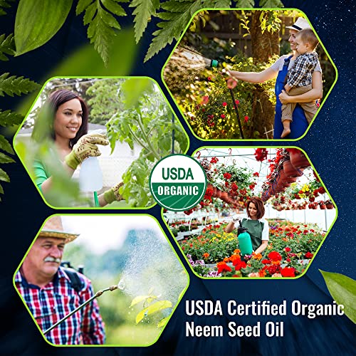 Aceite de Neem Orgánico Certificado - Multiusos con Envío Rápido 🌿🚚