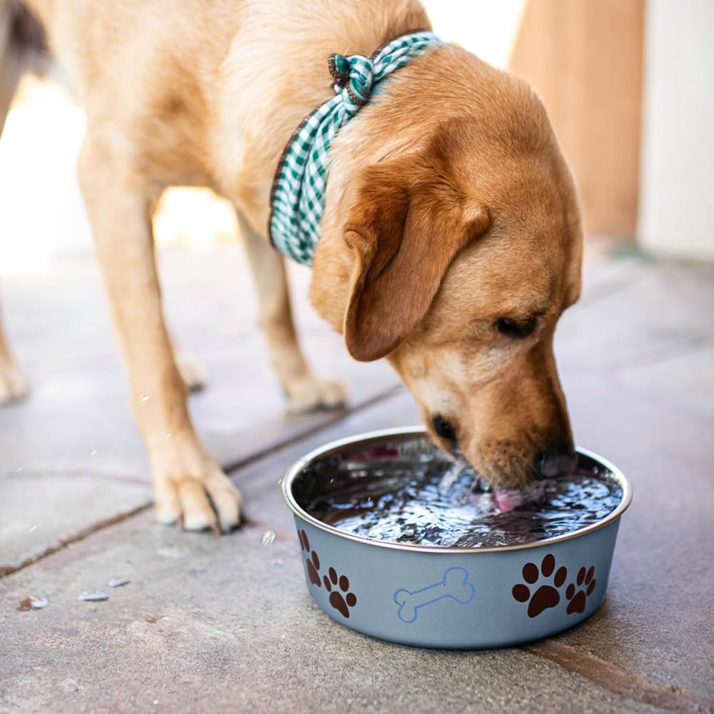 Loving Pets - Bella Bowls - tazón de Agua para Comida para Perros, sin Punta, Acero Inoxidable, a Prueba de derrames (tamaño Grande, Azul arándano)
