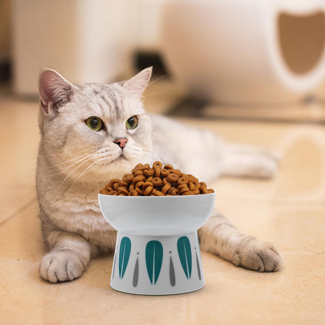 FOMIYES Tazón De Comida para Gatos Cuenco Compacto para Gatos Cuencos Elevados para Gatos De Interior Cuenco De Alimentación Platos De Comida para Gatos Bisel Plato De Gato Cerámica