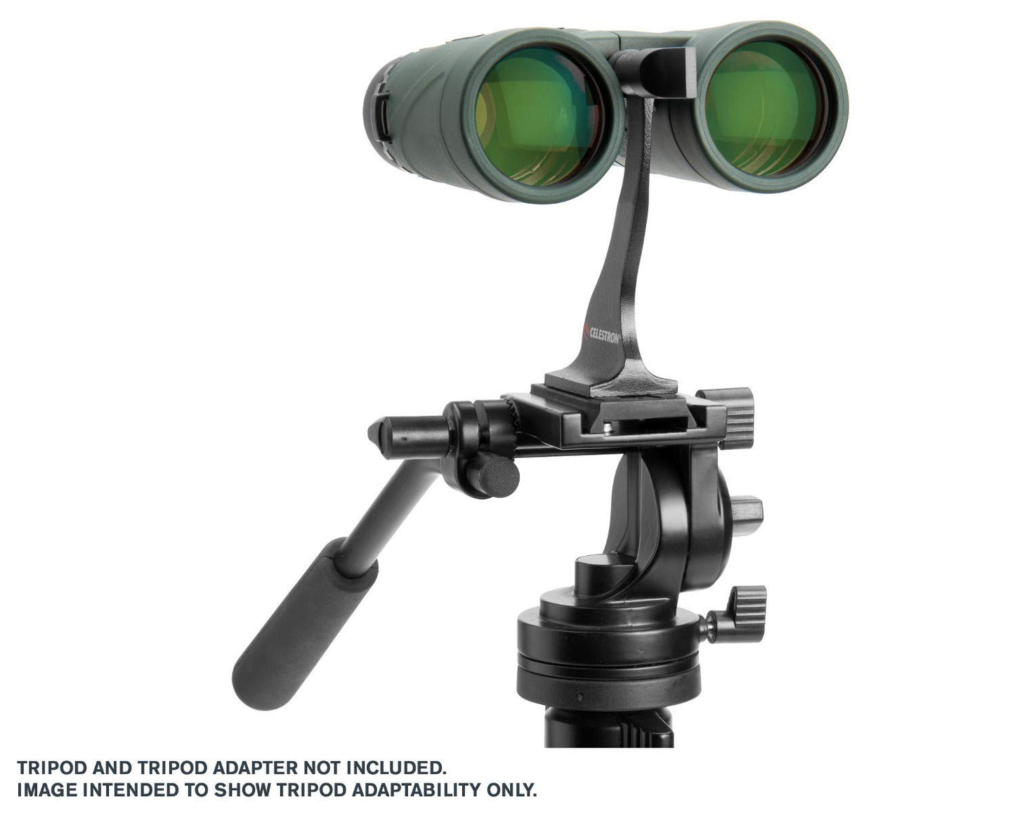 Celestron 71333 Nature DX 10x42 Binocular (Green)