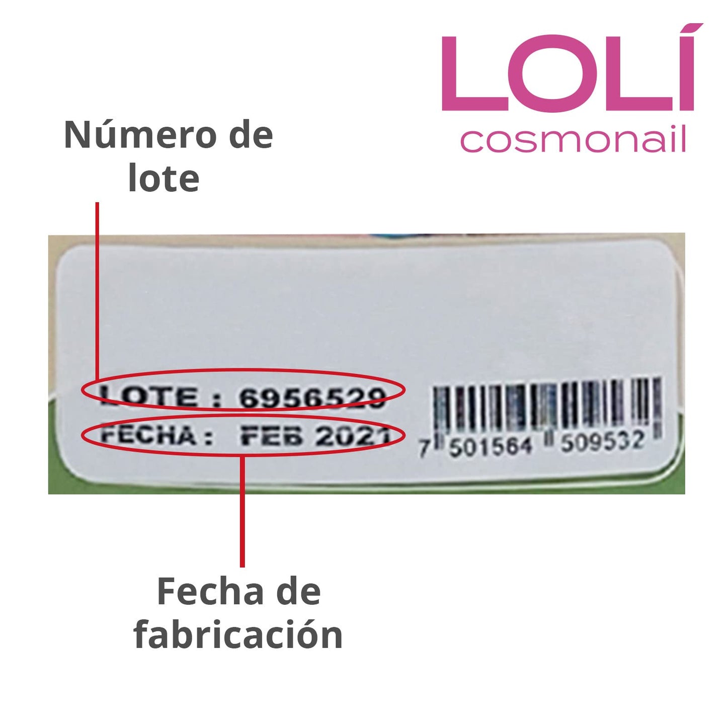 Loli - Paquete de 4 Esmaltes para Uñas Colección Tierna