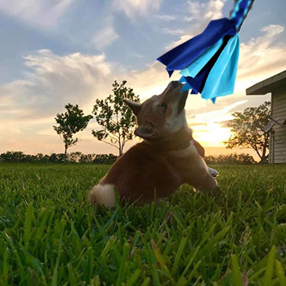 GoodsBeauty Poste de coqueteo para Perros – Poste de coqueteo Extensible con 2 señuelos de Forro Polar para Perros Entretenimiento al Aire Libre, Entrenamiento y Ejercicio, Nuevo café