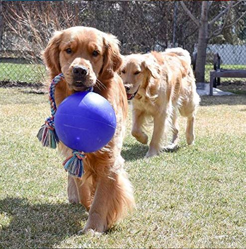 Jolly Pets Romp-n-Roll Ball, Azul, 8 Pulgadas
