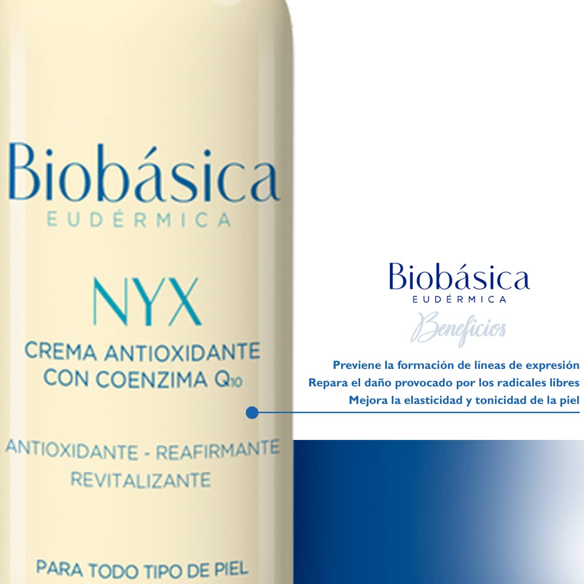 Crema antioxidante con coenzima Q10 | Proteje | Reafirma | Estimula la producción de colágeno