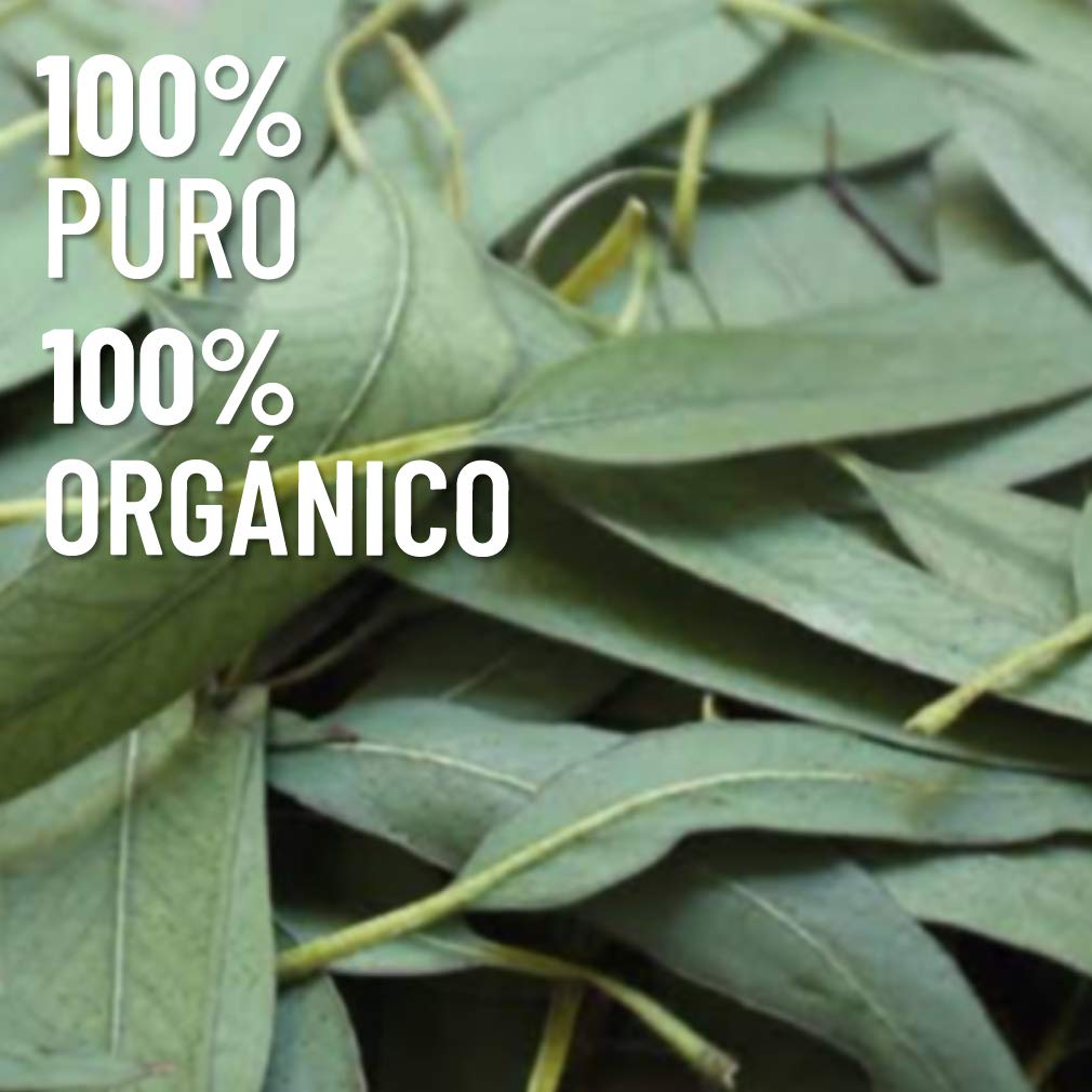 Aceite Esencial OLEUM VITAE Eucalipto Puro Orgánico 15 ml Certificado USDA ORGANIC Hecho en India