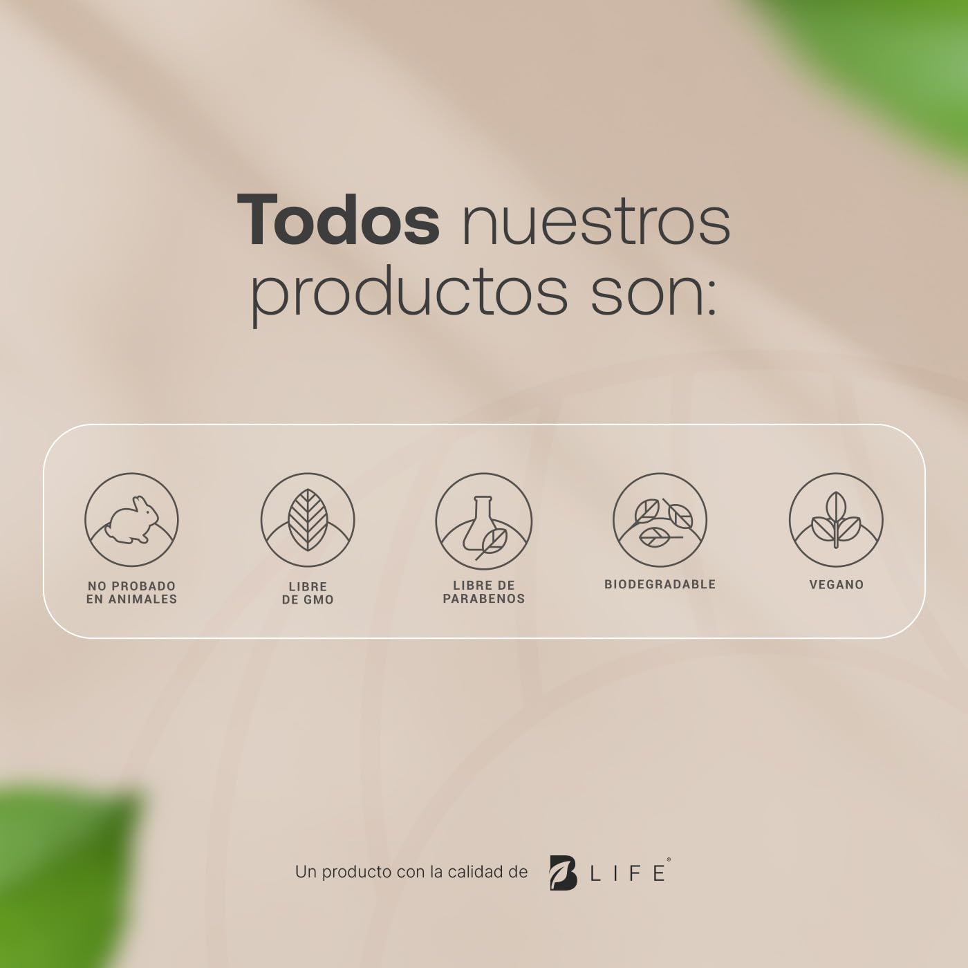 Crema Facial de Día Hidratante de 90 ml. Adicionada con Vitamina E, Ácido Hialurónico y Niacinamida, Skincare Facial Antiarrugas. Day Cream B Life.