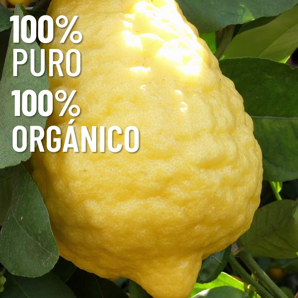 Aceite Esencial OLEUM VITAE Bergamota 100% Puro Orgánico 15 ml Certificado UK Hecho en India