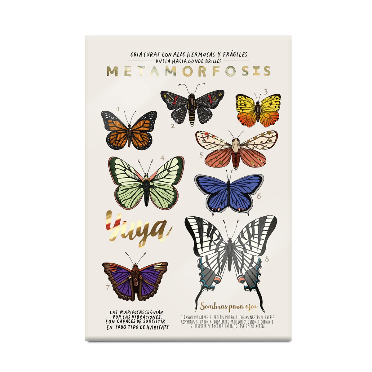 Yuya - Republic Cosmetics Set de Sombras "Metamorfosis" con 18 tonos.