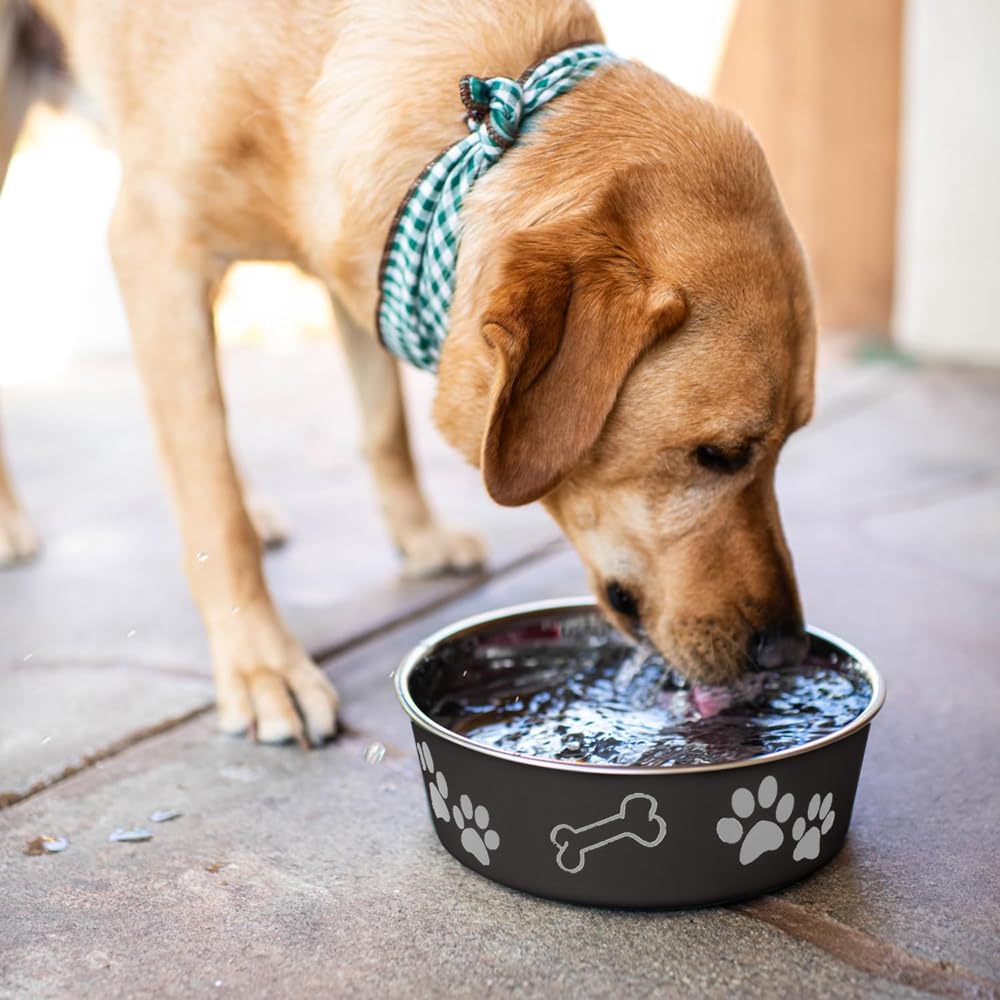Loving Pets Bella Bowl Dog Bowl, Large, 1.5 Litre, Espresso