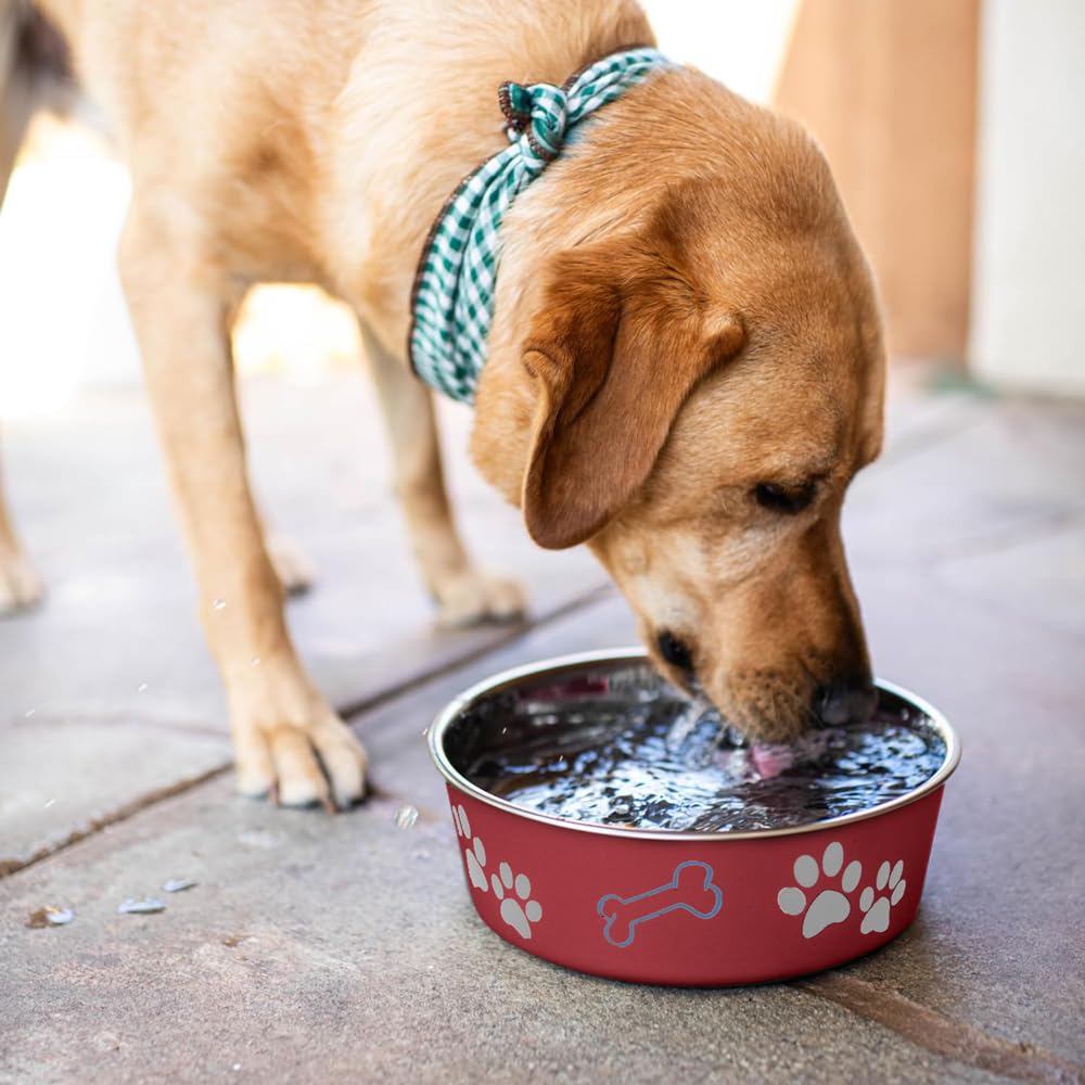 Loving Pets Bella Bowl Dog Bowl, Large, 1.5 Litre, Merlot