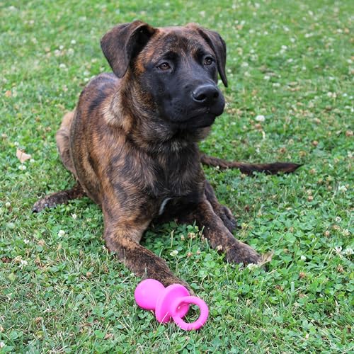 Chupete para perro de látex de 10 cm, los colores pueden variar