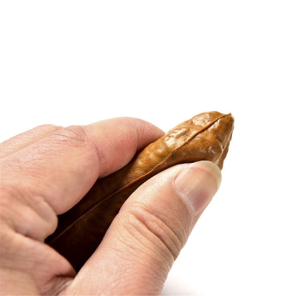 Juguete Engañoso Wendy Mall Marrón Realista Clásico para Bromas