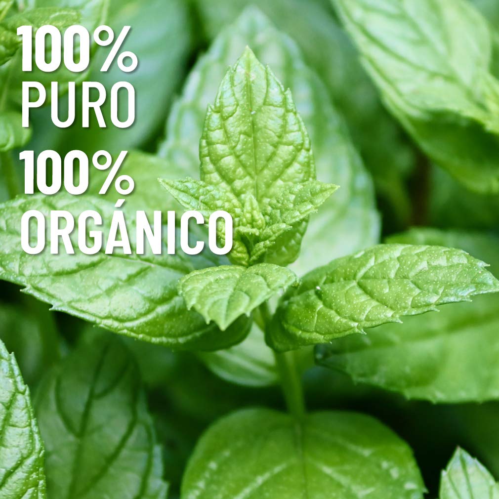 Aceite Esencial OLEUM VITAE Menta 100% Puro y Orgánico Certificado USDA ORGANIC 15ml