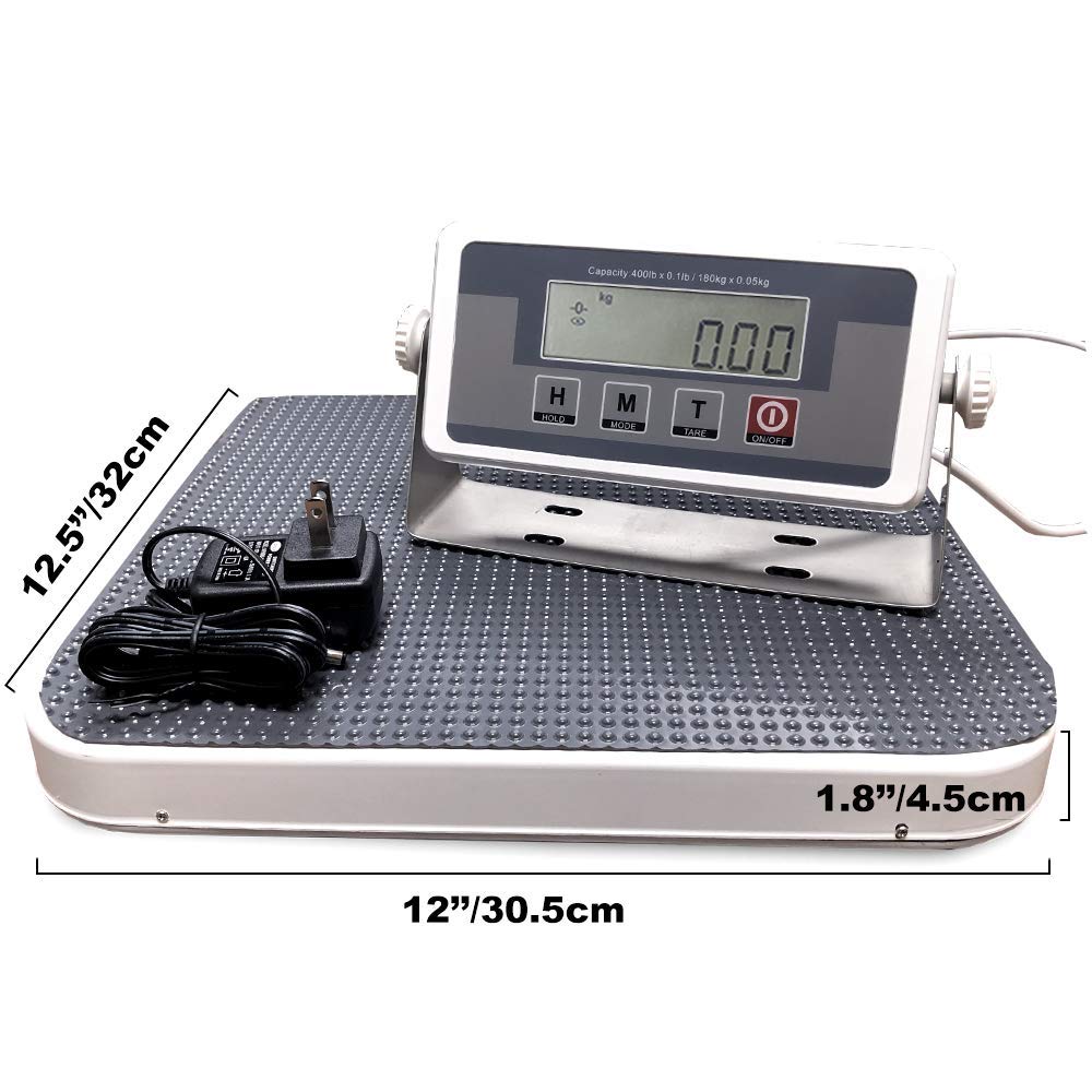 ANGEL USA - Báscula digital médica de alta precisión, peso corporal médico, equilibrio de pesaje, salud y fitness
