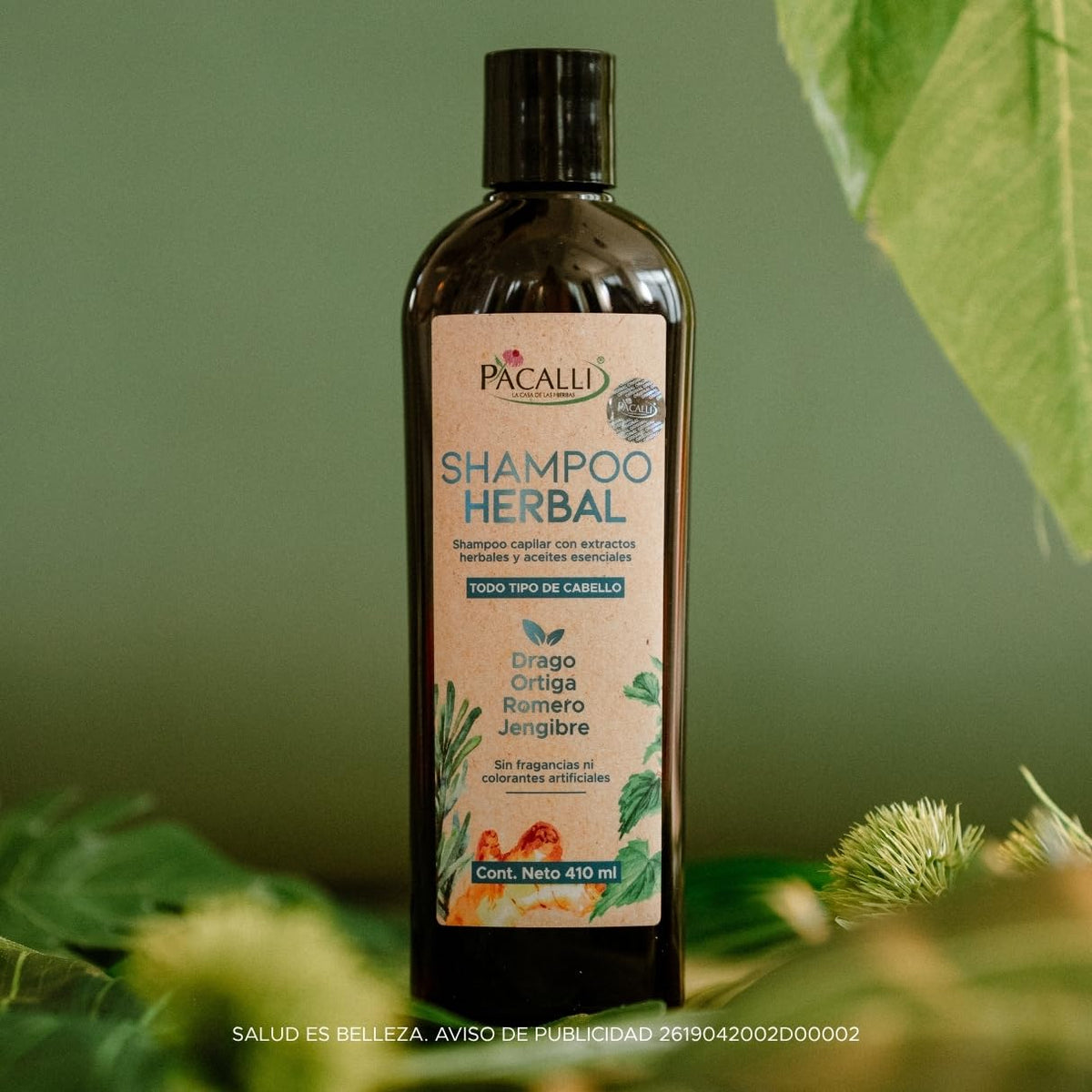 Shampoo Herbal PACALLI 2 Pack Con Jengibre, Romero, Sangre de Drago y Ortiga Ingredientes de origen natural