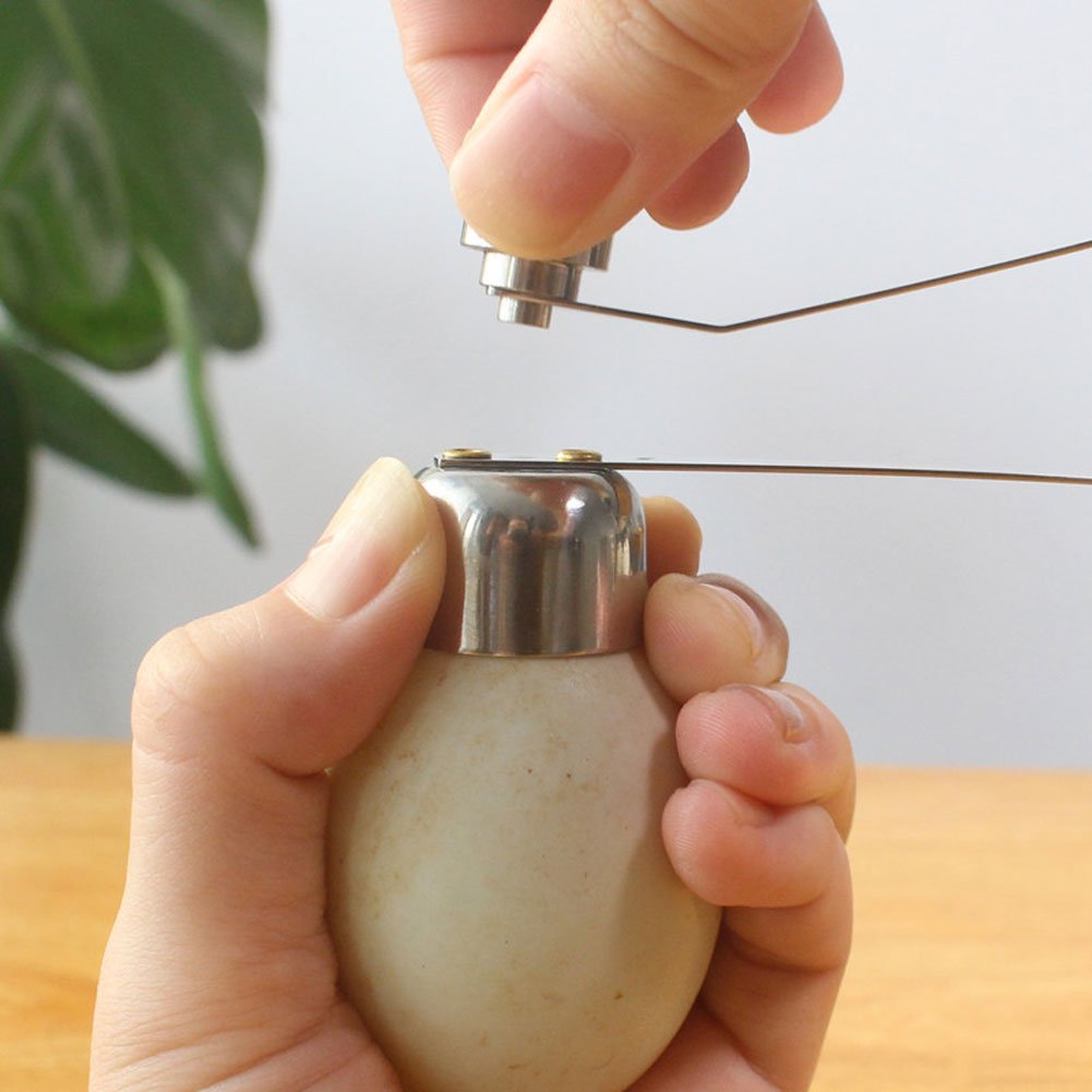 Cortador para Huevo Cortador de Cáscara de Huevo Acero Inoxidable Abridor Limpio Herramienta de Cocina de Galleta Para Eliminar Cáscaras de Huevo Duro(M)