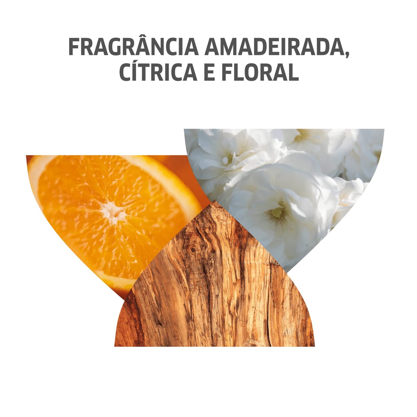 Acondicionador Wella Invigo Color Brilliance Lima Caviar