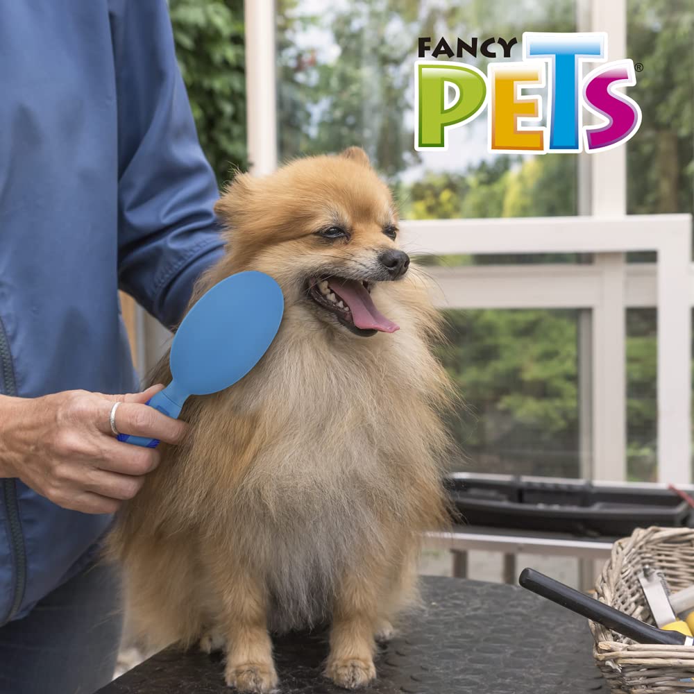 Fancy Pets Cepillo Cerdas Suaves y Medias para Perro Tamaño Grande