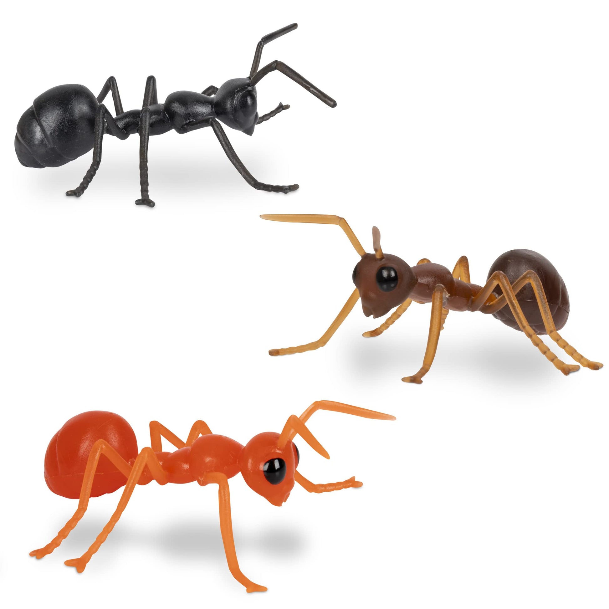 Caja de Regalo Mcphee Accoutrements Hormigas Archie novedosas