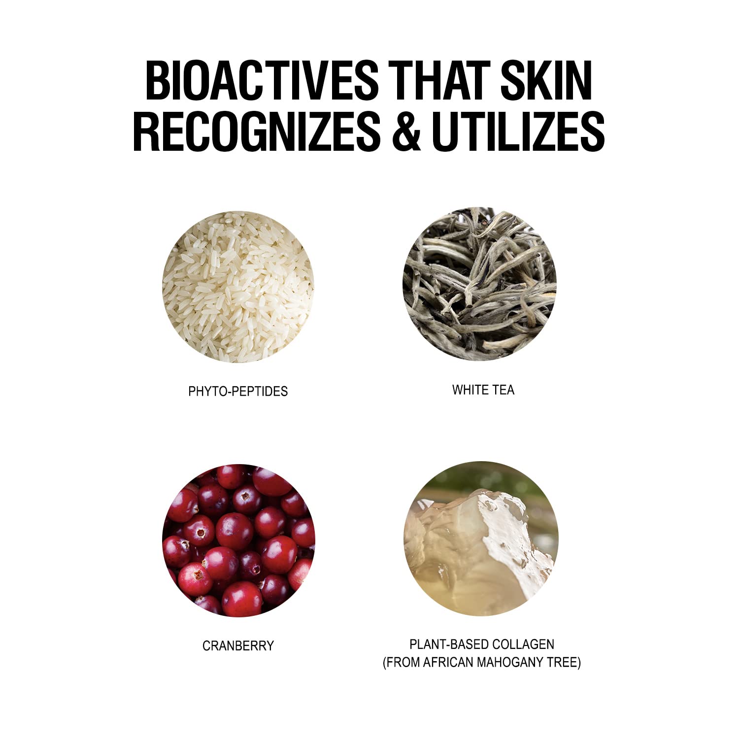 Grown Alchemist Age-Repair+ Intensive Moisturizer White Tea & Phyto-Peptide 40 ml