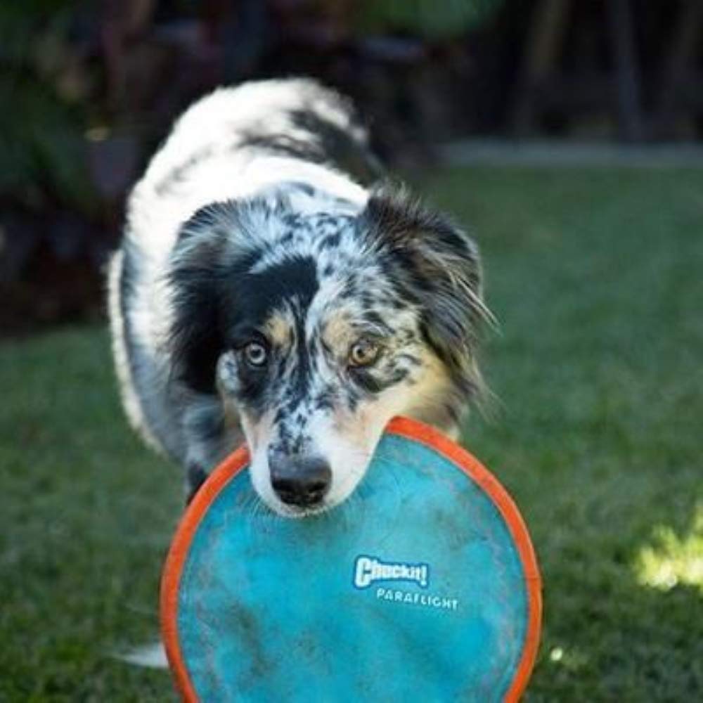Chuckit Paraflight grande (paquete de 2)