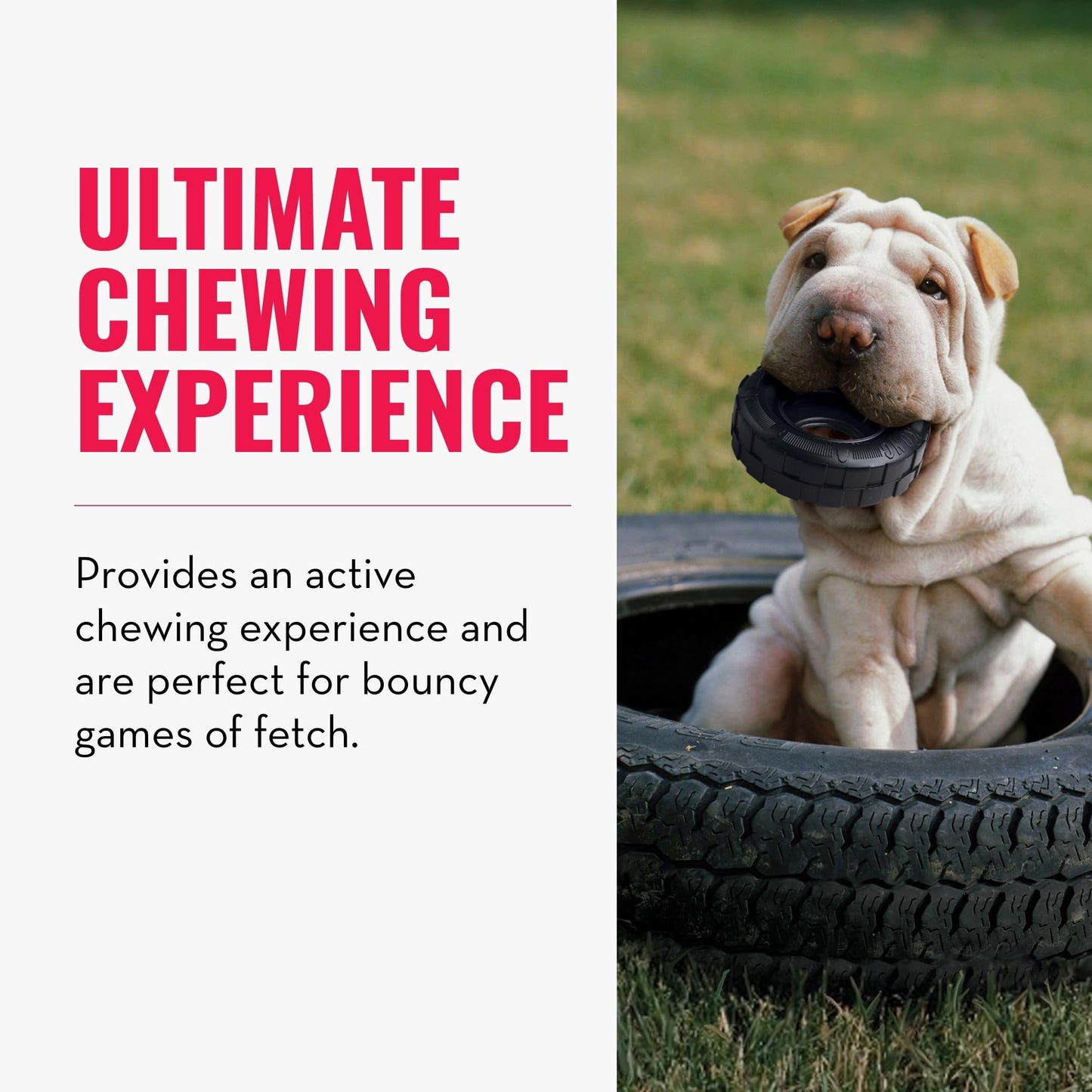 KONG Llanta Extreme Dog Toy