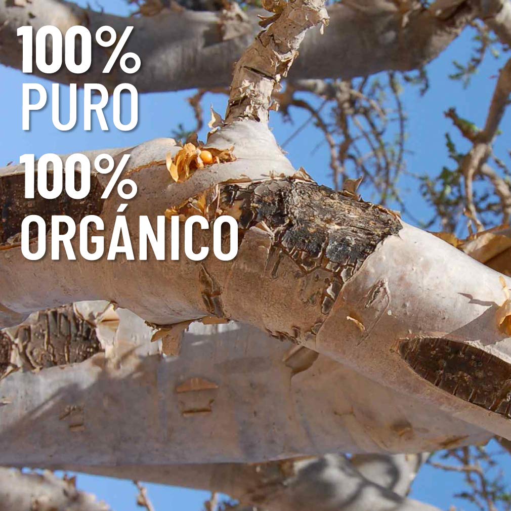 Aceite Esencial OLEUM VITAE Incienso 100% Puro y Orgánico Certificado USDA 15ml