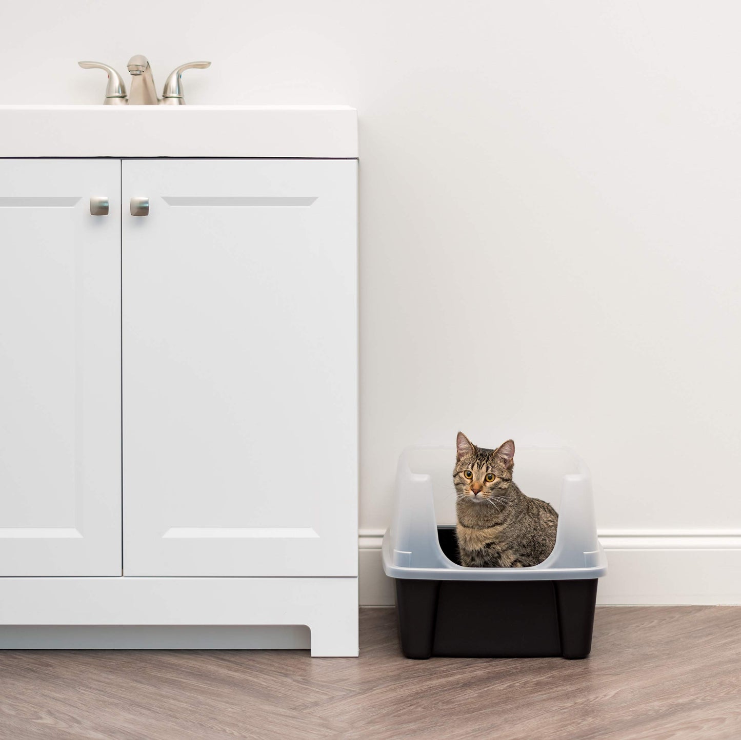 IRIS USA Caja de Arena para Gatos Grande con Escudo Anti-Salpicaduras y Paleta, Pan de Arena para Gatos de Bordes Altos y Abierto en la Parte Superior, Negro