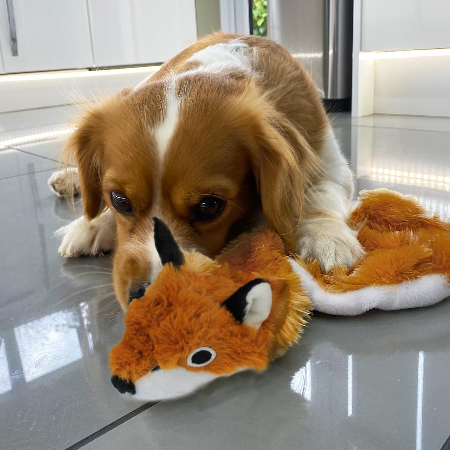 Best Pet Supplies - Juguete para Perro sin Relleno, 2 en 1, diseño de Zorro, Mediano